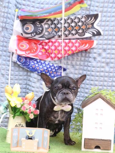 20230520さつきちゃん